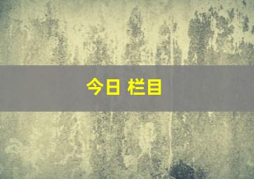 今日 栏目